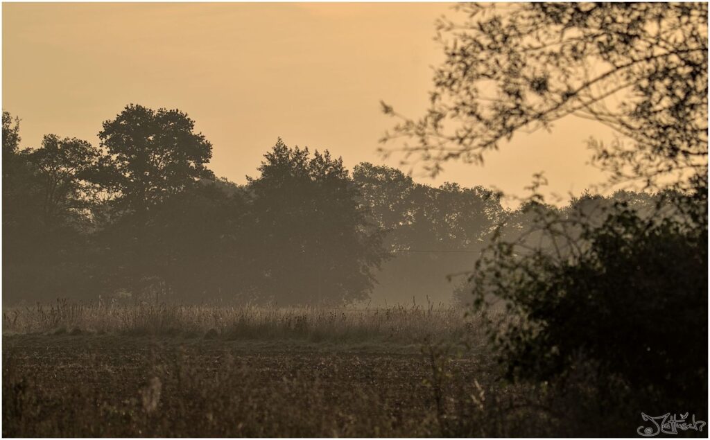 Sonnenaufgang über Wiesen und Feldern