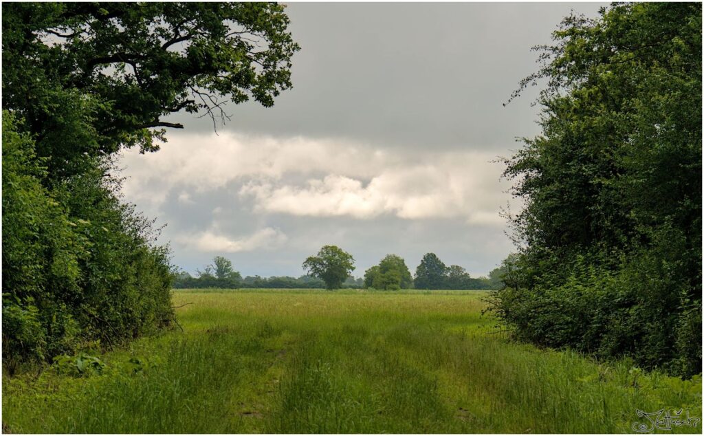 Feldweg mit Blick über Felder