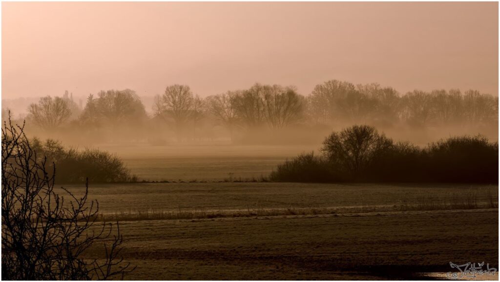 Sonnenaufgang mit Nebel über Wiesen 