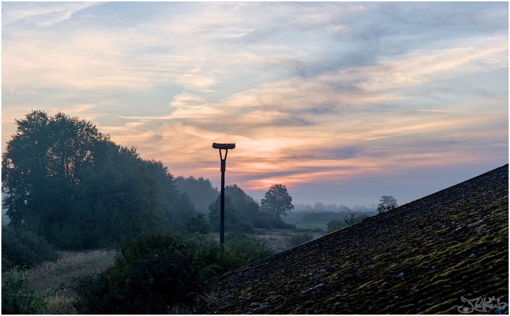 Sonnenaufgang über Wiesen