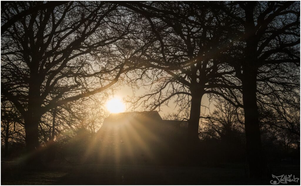 Sonnenstern geht hinter einem Gebäude auf einer Baumbestandenen Wiese auf - Gegenlicht.