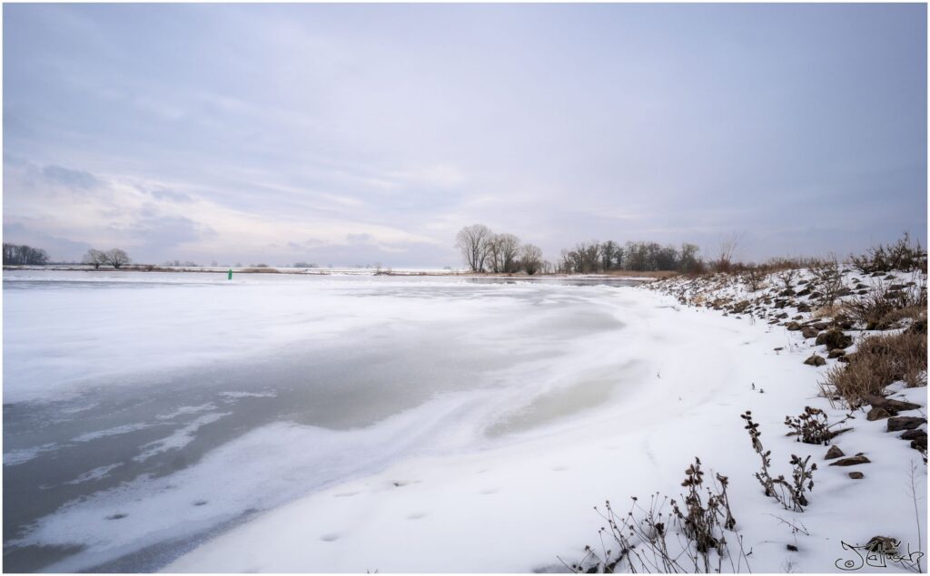 Die Elbe mit Auwiesen im Winter an einem grauen Tag.