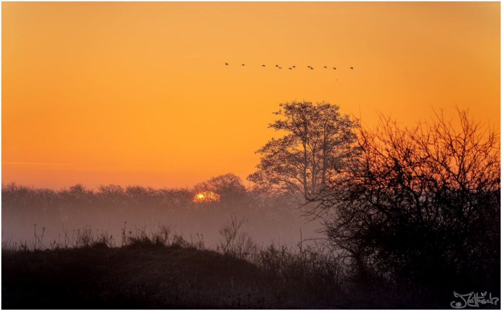Landschaft im Sonnenaufgang mit goldenem Licht und vorbeiziehenden Vögeln.