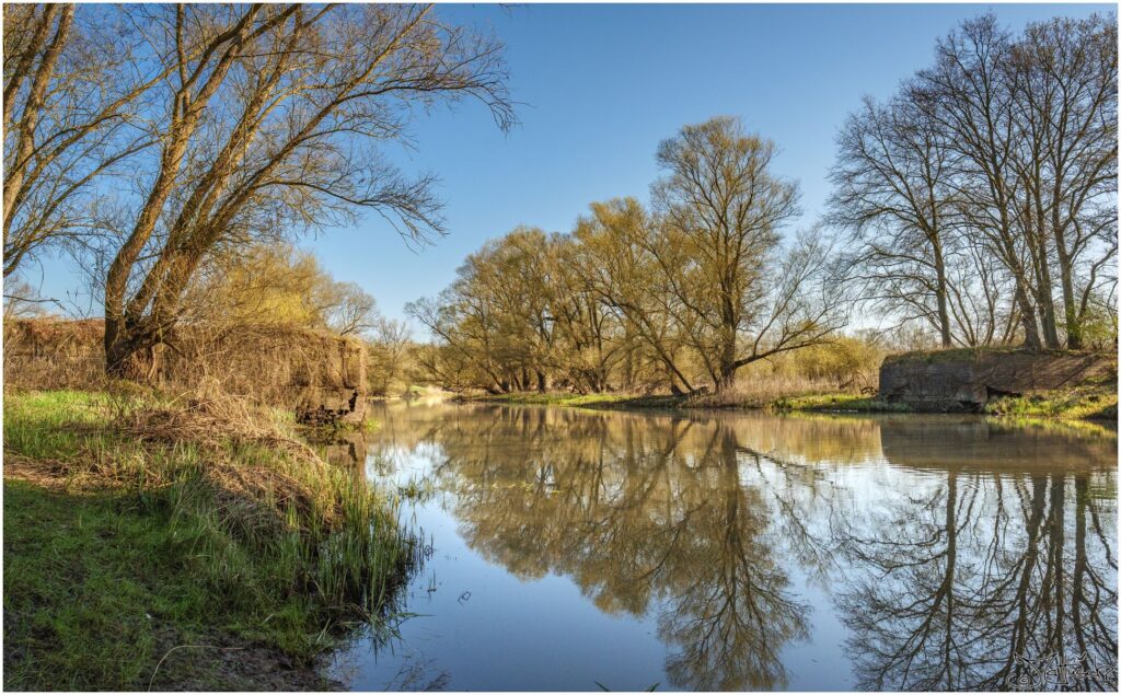 Aland. Flusslandschaft mit altem Baumbestand und alten Brückenansätzen.