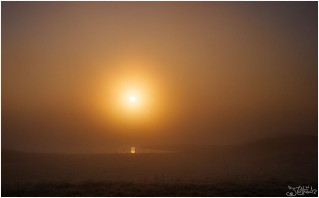 Elbwiesen im Nebel bei Sonnenaufgang.