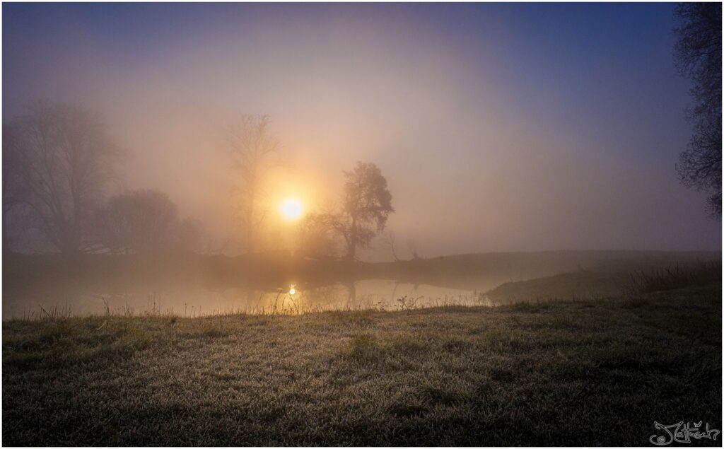 Elbwiesen mit altem Baumbestand bei Sonnenaufgang.