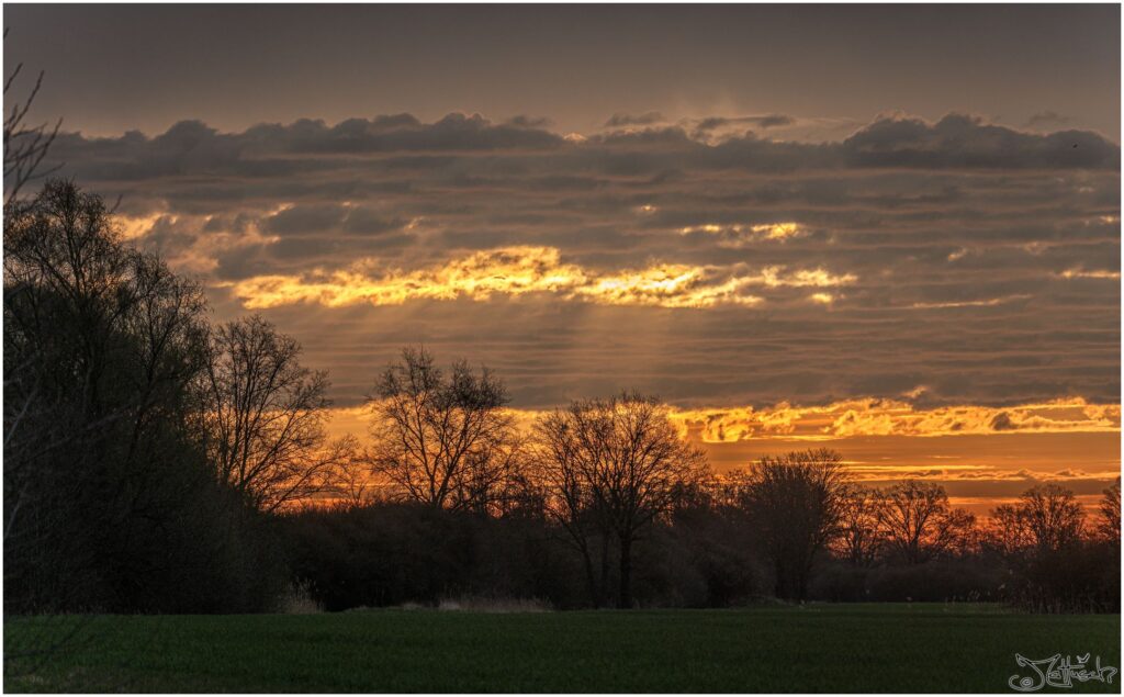 Wiesen mit Bäumen und Hecken bei Sonnenaufgang. Sonnenstrahlen sind durch Wolkenlücken zu sehen.
